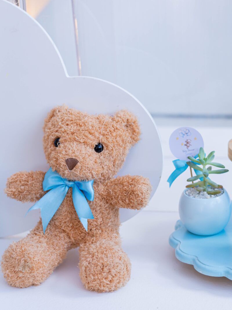 Peluches y apliques